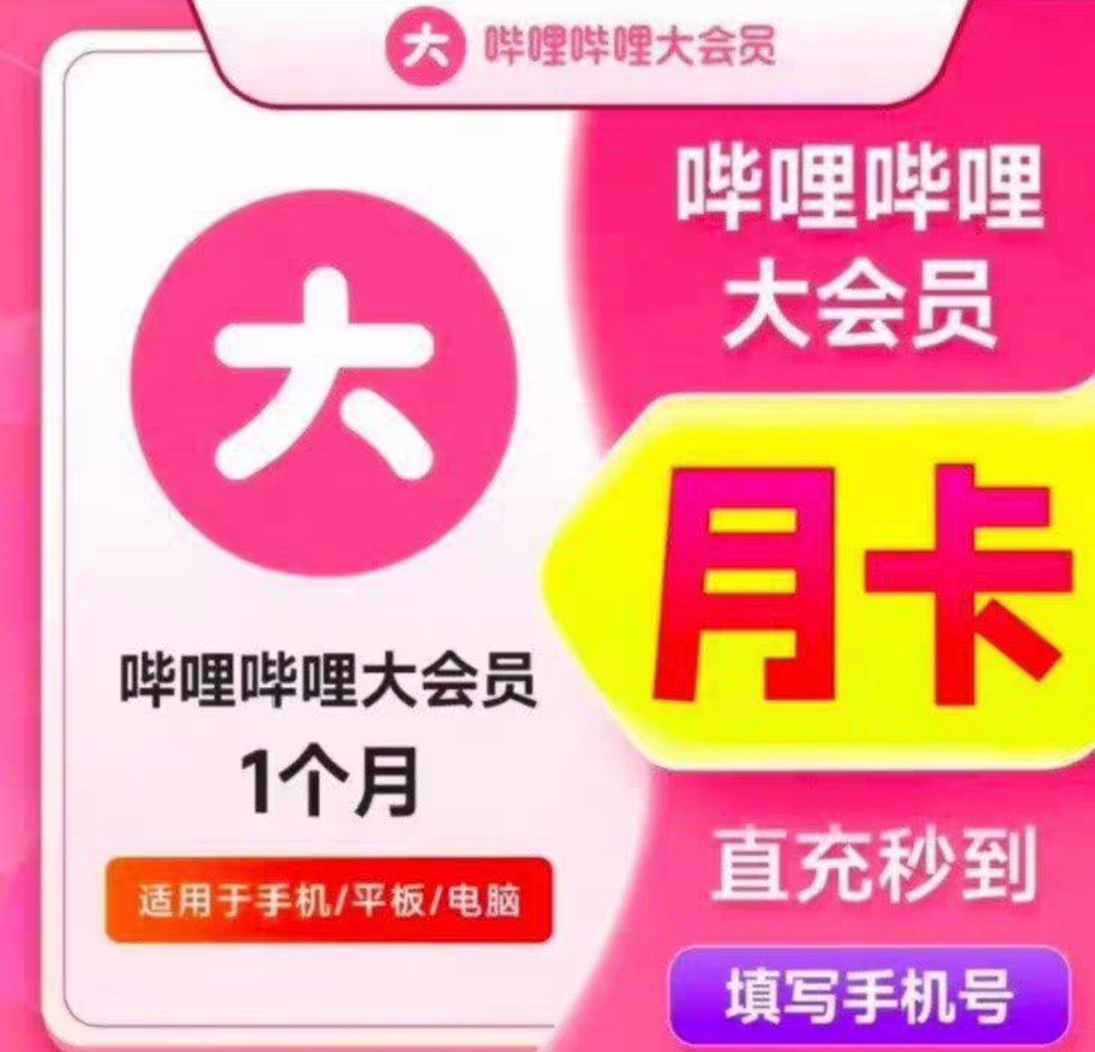 哔哩哔哩大会员月卡